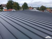 Finisches Blockbohlenhaus In Passau 