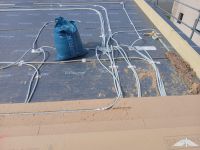 Finisches Blockbohlenhaus In Passau  